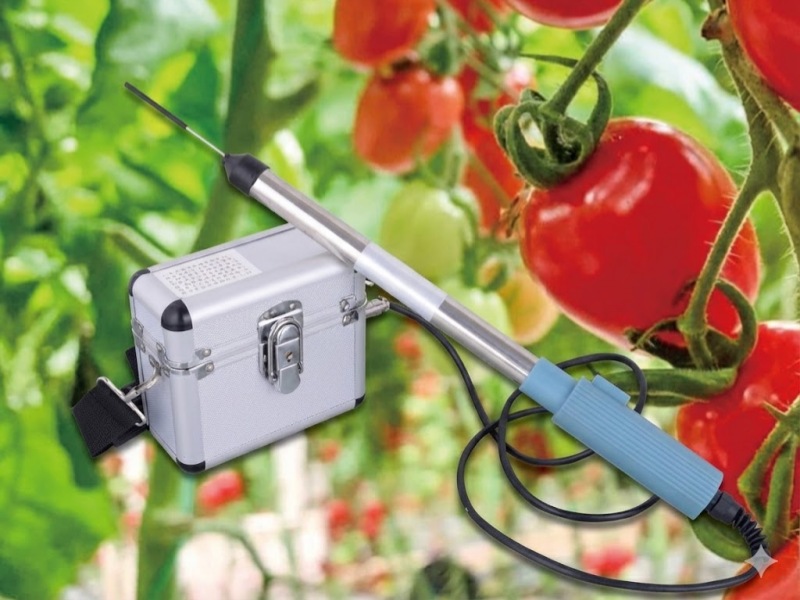 Handheld tomato pollinating tool with 4800r/min vibration