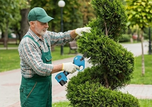 Electric pruner for landscaping and gardening