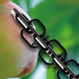 SOROB EPT-100 electric tomato pollinator greenhouse operation with portable aluminum power case